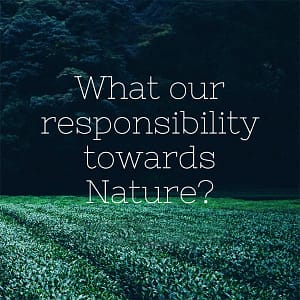 What our Responsibility towards Nature